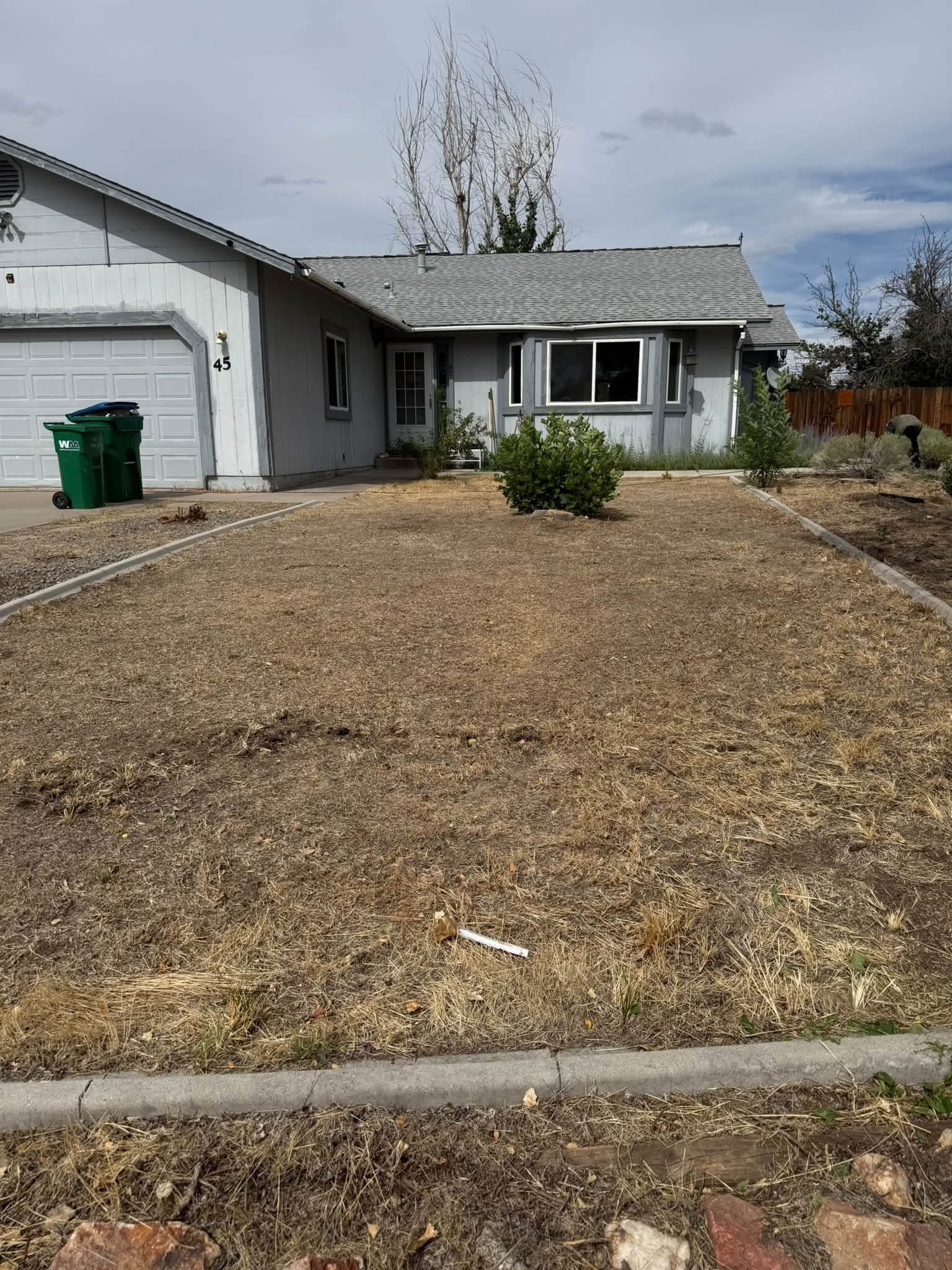 Front yard before landscaping, dry lawn